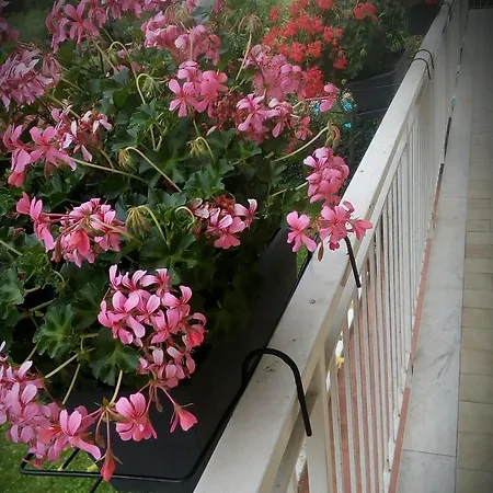 Le Villette - Apartment Loano