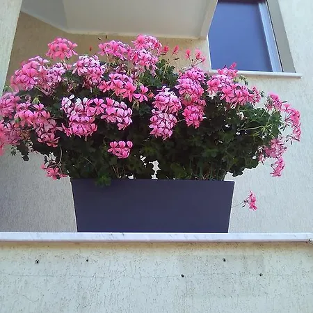 Apartment Le Villette - Loano